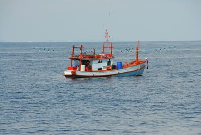 DSC_9546.JPG