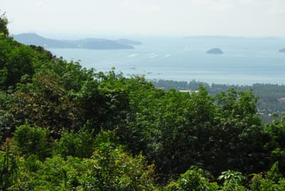 DSC_9568.JPG