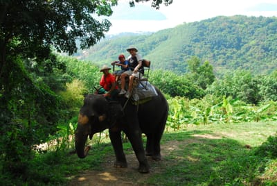 DSC_9578.JPG