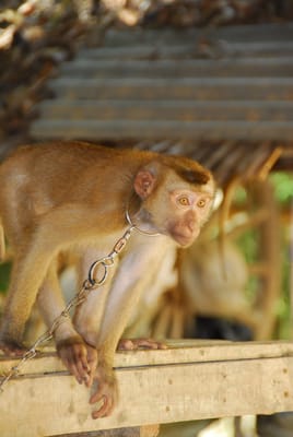 DSC_9616.JPG