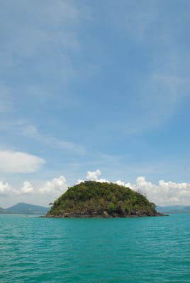 DSC_9650.JPG