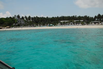 DSC_9685.JPG