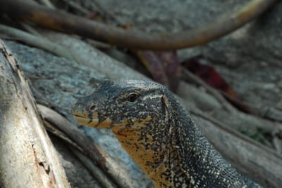 DSC_9689.JPG