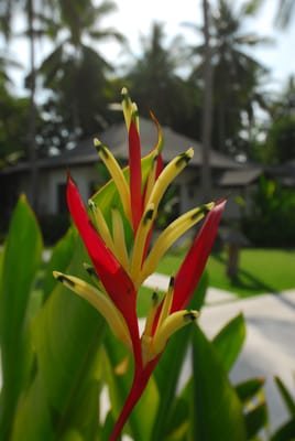 DSC_9767.JPG