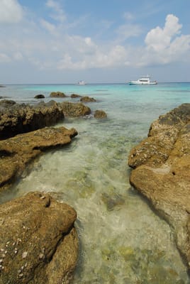 DSC_9770.JPG