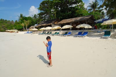 DSC_9785.JPG