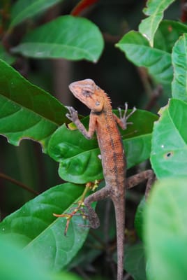 DSC_9823.JPG