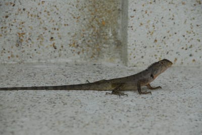 DSC_9824.JPG