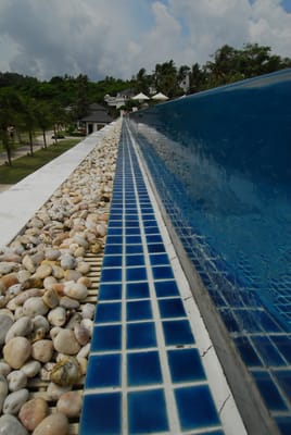 DSC_9846.JPG