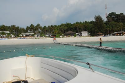 DSC_9869.JPG