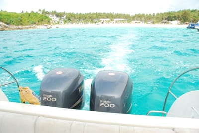 DSC_9872.JPG