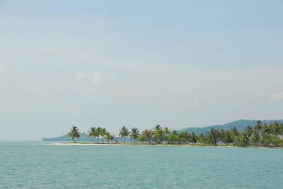 DSC_0019.JPG