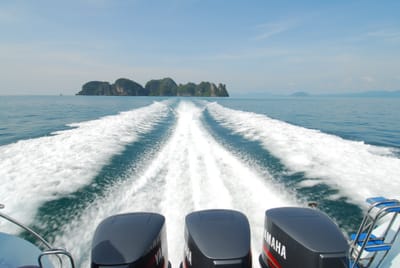 DSC_0049.JPG