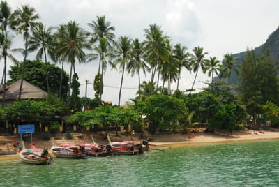 DSC_0080.JPG