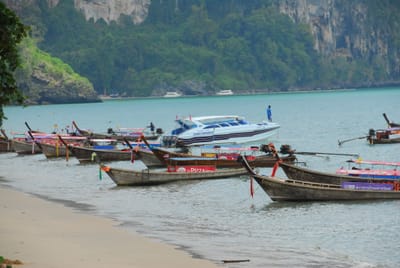 DSC_0084.JPG