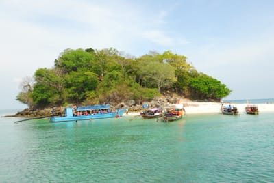 DSC_0119.JPG