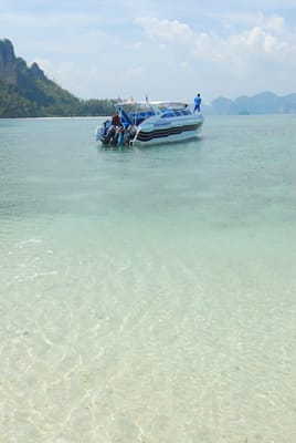 DSC_0124.JPG