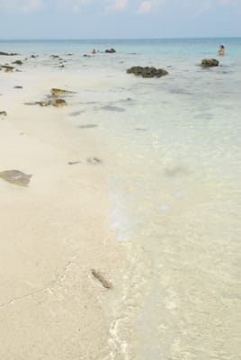 DSC_0128.JPG