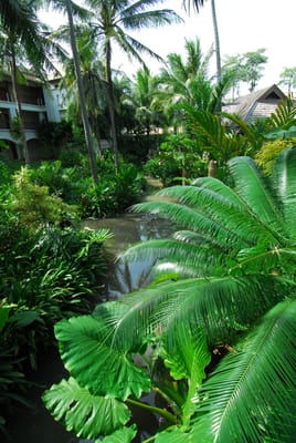 DSC_0162.JPG