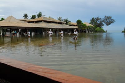 DSC_0232.JPG