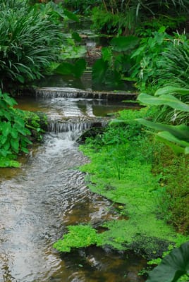 DSC_0287.JPG