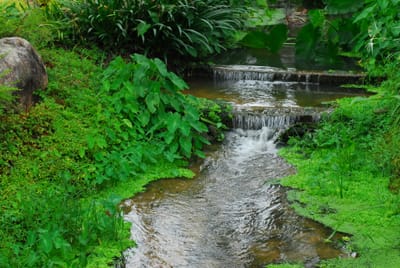 DSC_0288.JPG