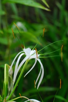 DSC_0289.JPG