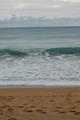 DSC_0303.JPG