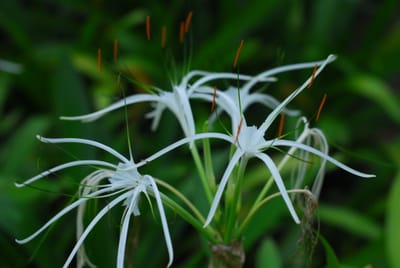 DSC_0313.JPG