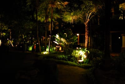 DSC_0339.JPG