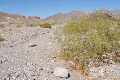 DSC_0708.JPG