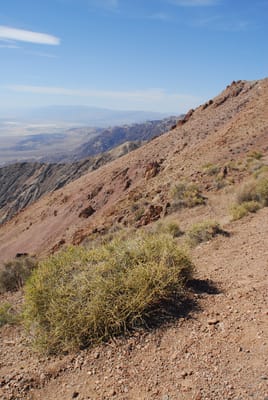 DSC_0710.JPG