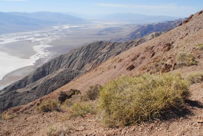DSC_0711.JPG