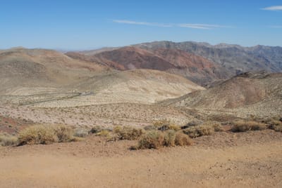 DSC_0715.JPG