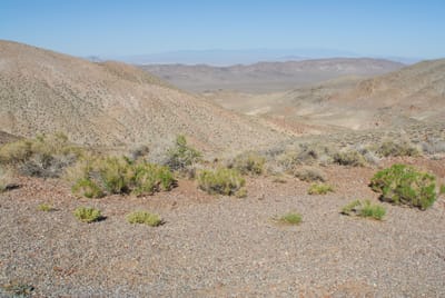 DSC_0732.JPG