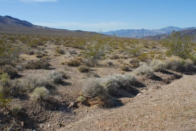 DSC_0733.JPG