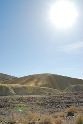 DSC_0735.JPG