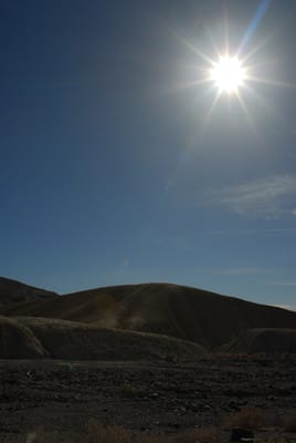 DSC_0736.JPG