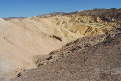 DSC_0739.JPG
