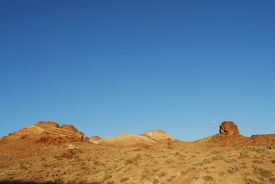 DSC_0774.JPG
