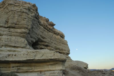 DSC_0781.JPG