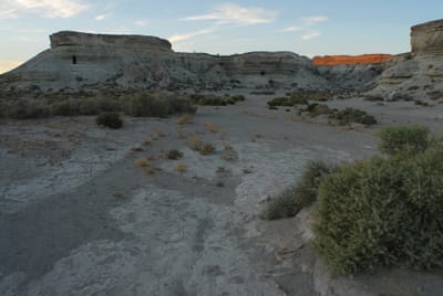 DSC_0782.JPG
