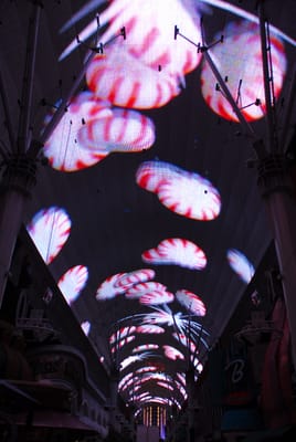DSC_0663.JPG