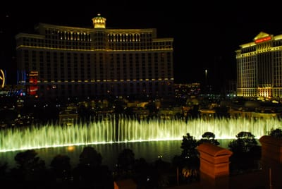 DSC_0681.JPG