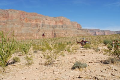 DSC_0897.JPG