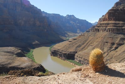 DSC_0904.JPG
