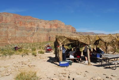 DSC_0917.JPG