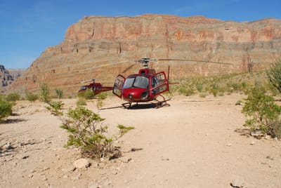DSC_0920.JPG