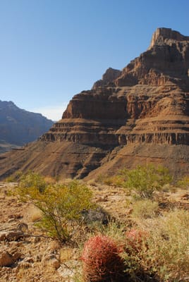 DSC_0925.JPG