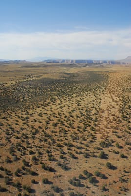 DSC_0934.JPG